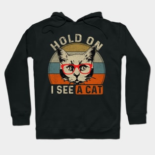 Hold On I See A Cat Funny Cat Lovers Sarcastic Saying Kitten Hoodie